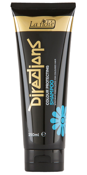 La Riche Directions - Colour Protecting Shampoo