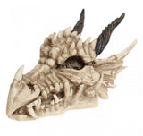 Nemesis Now - Dragon Skull Box