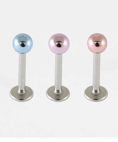 Kingsley Ryan - Shiny Labret